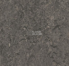 Линолеум Forbo Marmoleum Decibel on Order 304835 graphite фото 1 | FLOORDEALER